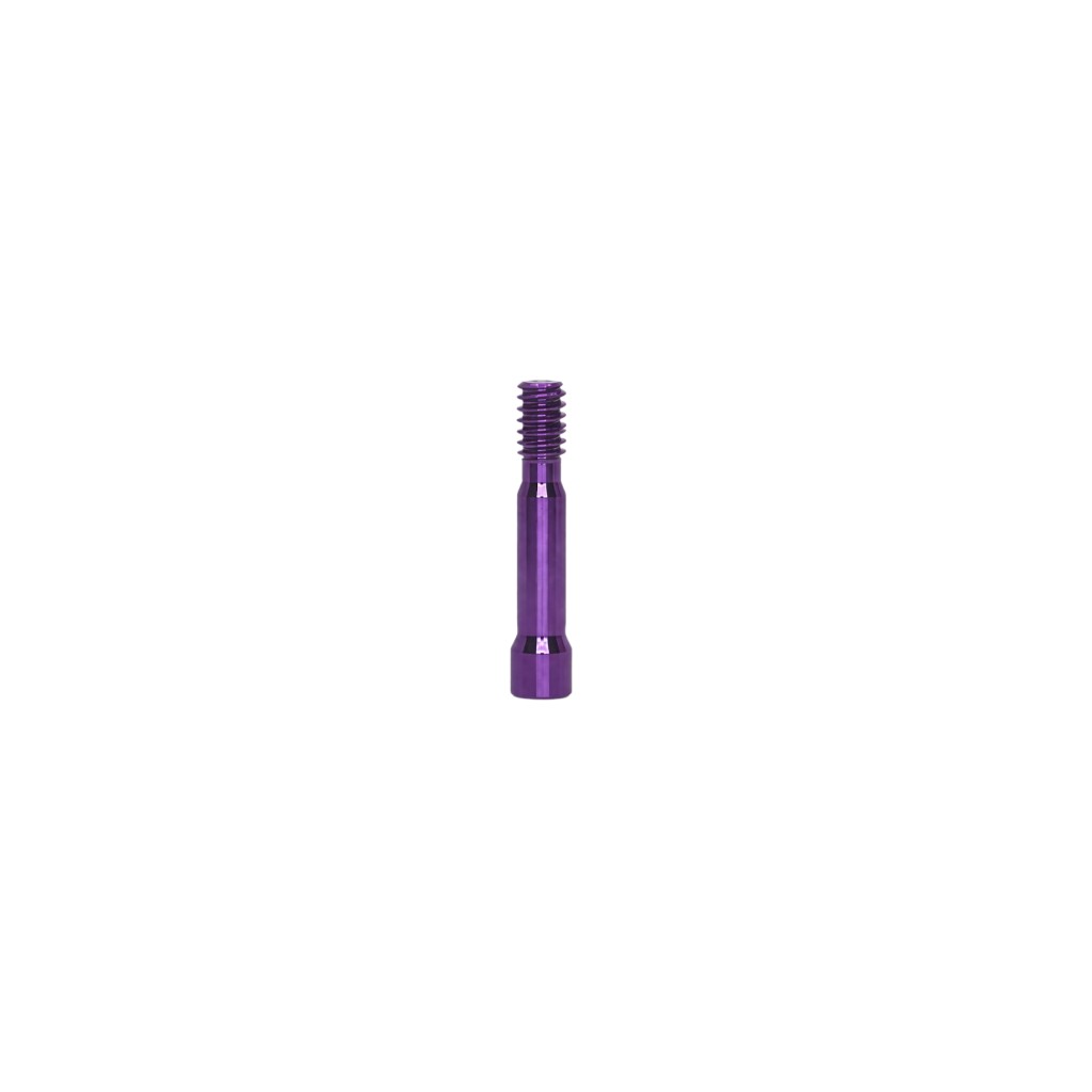 Tornillo (auto)
