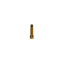 Tornillo (auto)