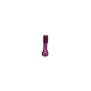 Tornillo (auto)