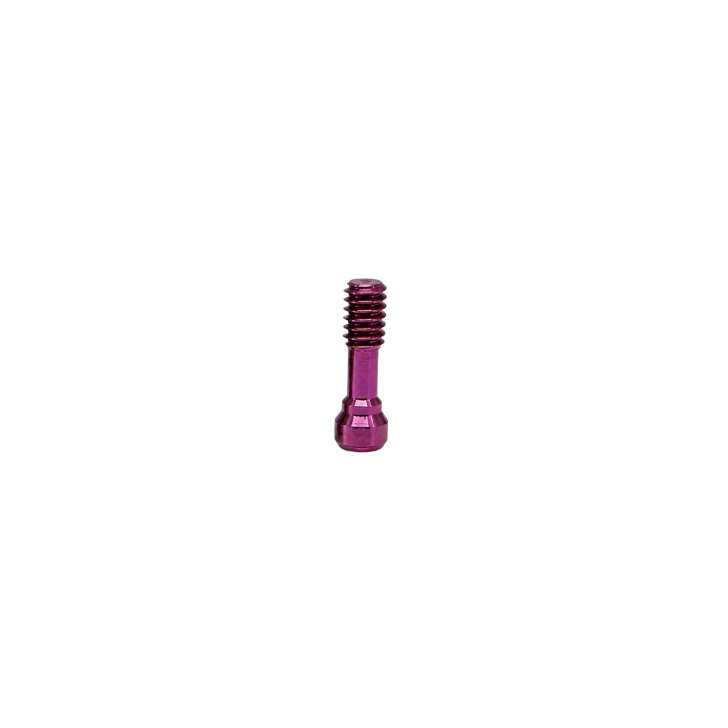 Tornillo (auto)