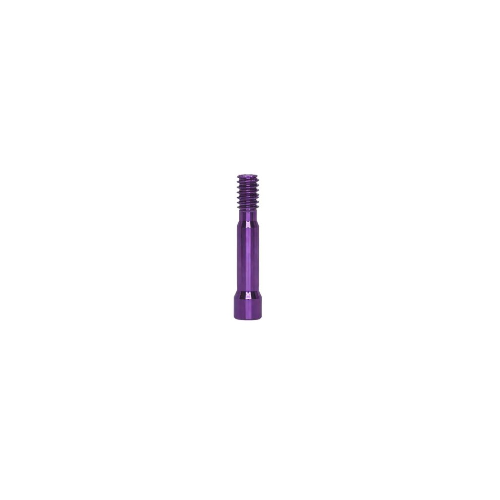 tornillo de pilar protesico compatible con Neodent GM regular .webp