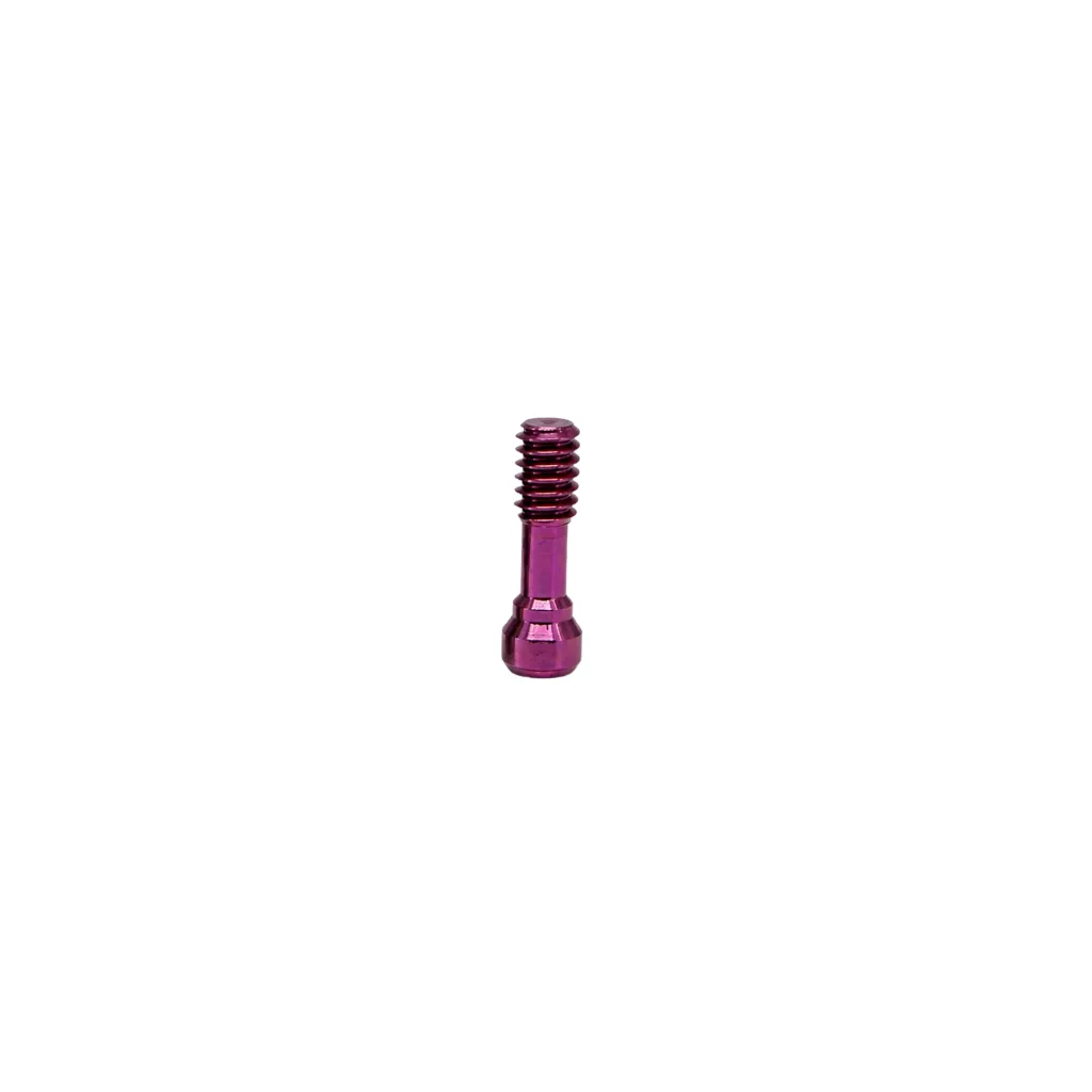 tornillo de pilar protesico compatible con Nobel Biocare Active.webp
