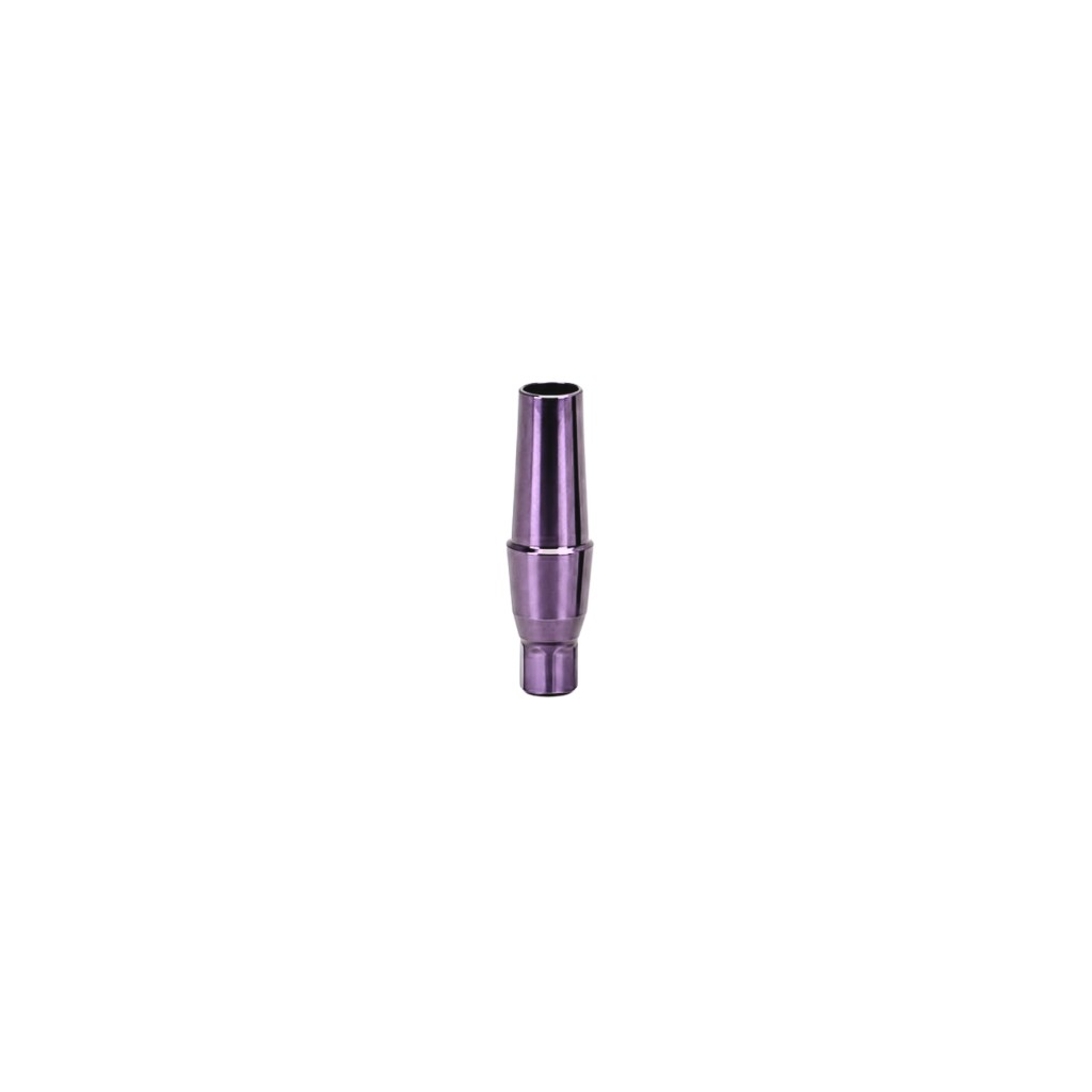 [KIT700-01-2.5] PILAR PROTESICO COMPATIBLE CON STRAUMANN BL (NC) MINI 2.5MM