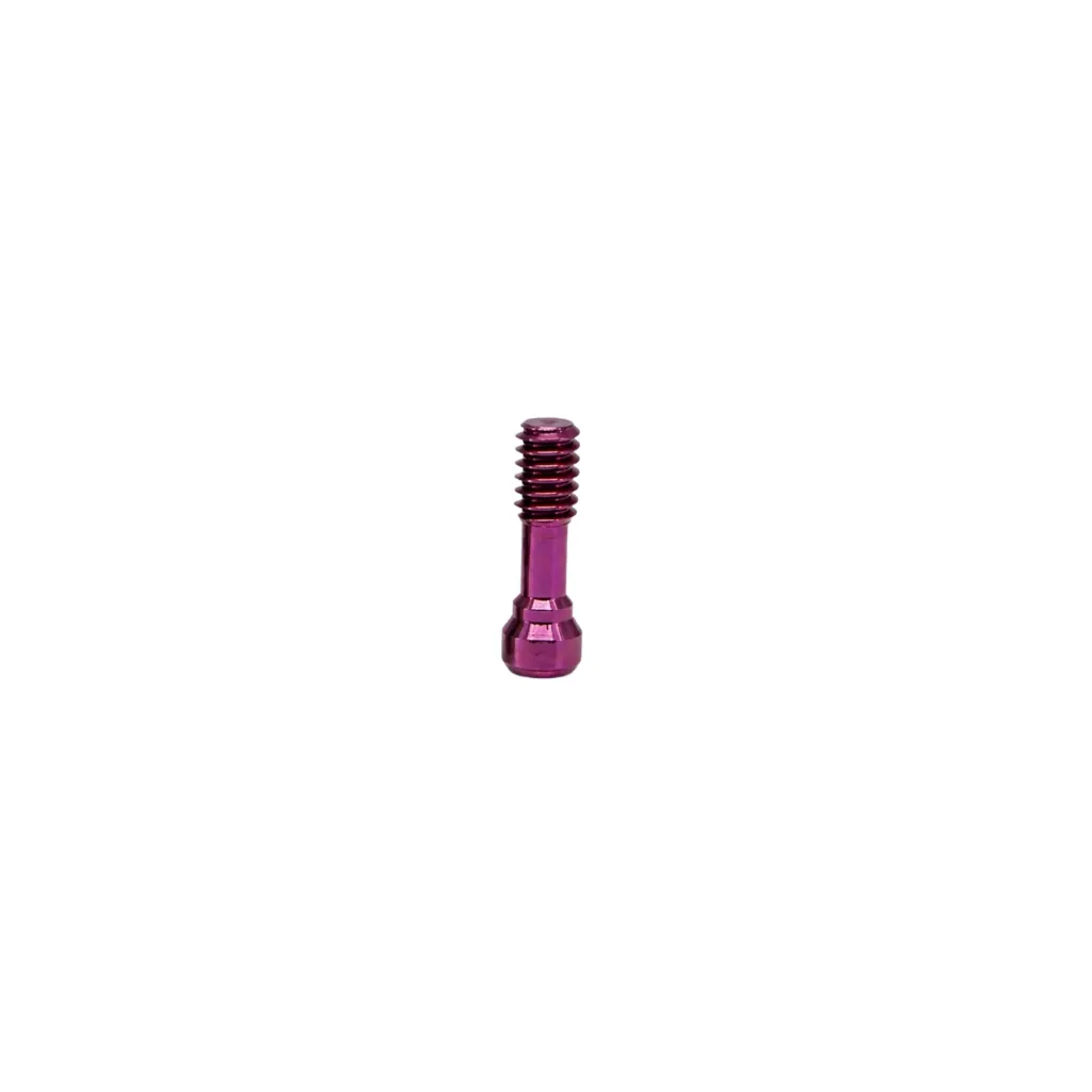 Tornillo de Pilar Protésico compatible con Nobel Biocare, Nobel Active, Regular.